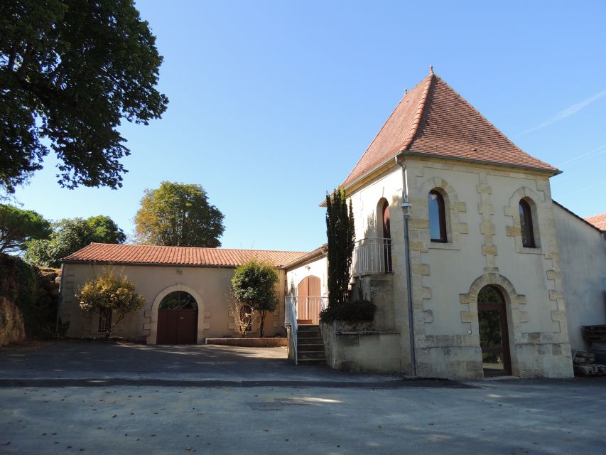 Saint-Émilion: Grand Cru Classé Winery Visit and Tasting - The views deserve more than a quick photograph