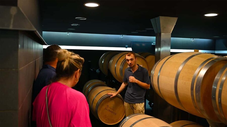 Saint-Émilion: Grand Cru Classé Winery Visit and Tasting - Who should book this one-hour experience?