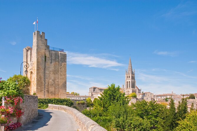 Saint Emilion Half-Day Trip with Wine Tasting & Winery Visit from Bordeaux - What the wine tasting is really like