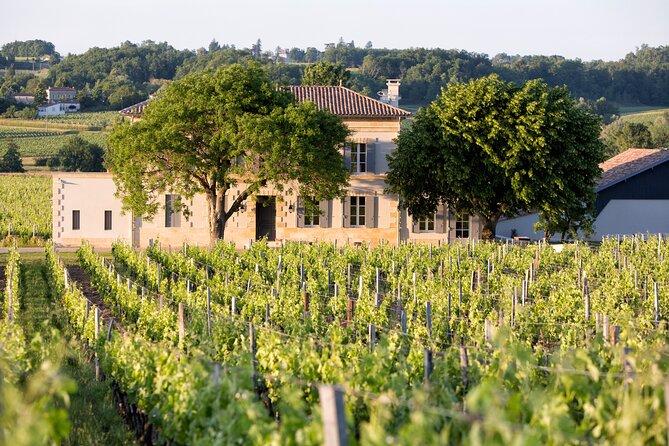 Saint Emilion Half-Day Trip with Wine Tasting & Winery Visit from Bordeaux - The guide can make or break the afternoon