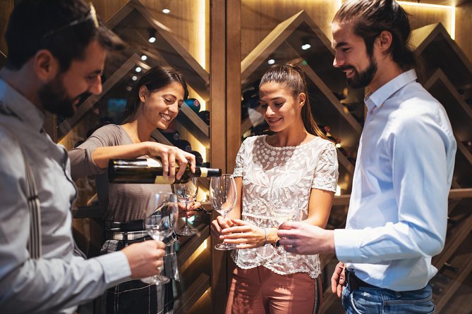 Saint Emilion Half-Day Trip with Wine Tasting & Winery Visit from Bordeaux - Who should book this Saint-Émilion trip?