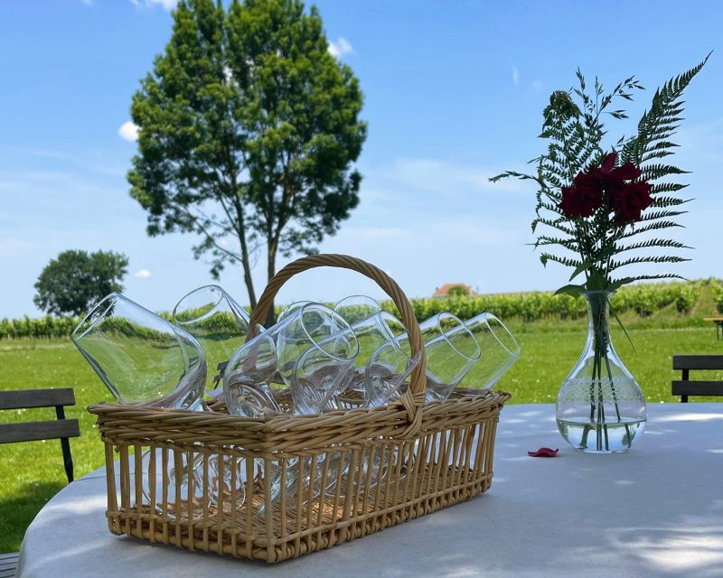 Saint-Emilion: Morning Tour with Wine Tasting & Snack - Visiting the château winery