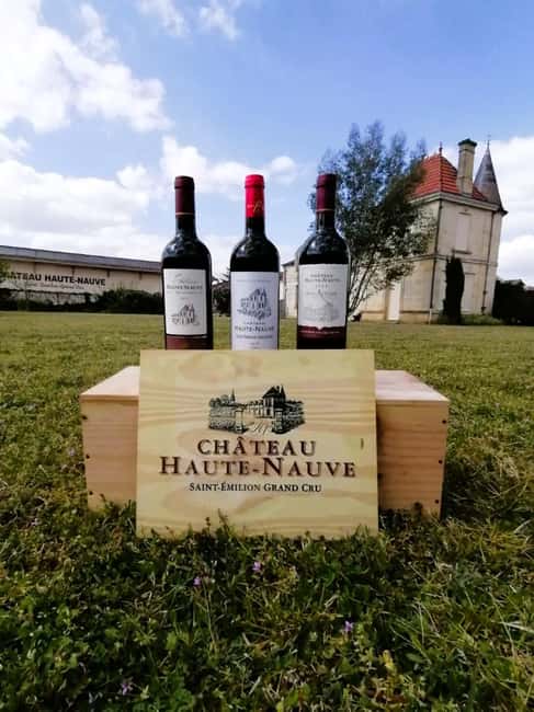 Saint-Emilion : Tasting of 4 wines in a family vineyard - Key Points to Know Before You Go