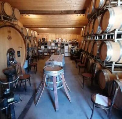 Saint-Emilion : Tasting of 4 wines in a family vineyard