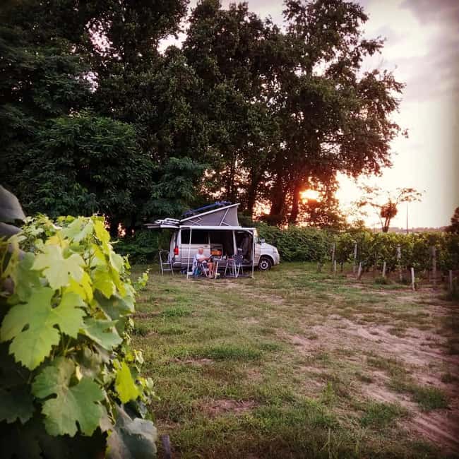 Saint-Emilion : Tasting of 4 wines in a family vineyard - Why the Five-Minute Drive Matters