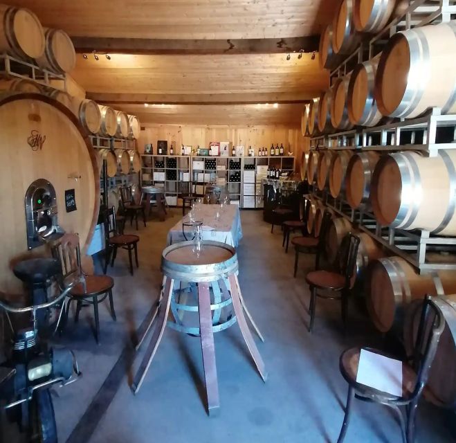 Saint-Émilion: Vineyard Walking Tour and Tasting - Key points at a glance