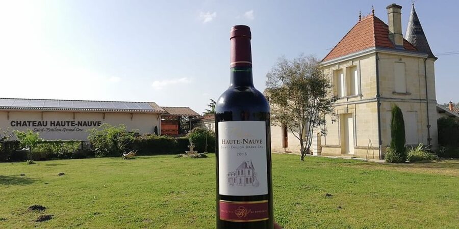 Saint-Émilion: Vineyard Walking Tour and Tasting - Why this small family château feels different
