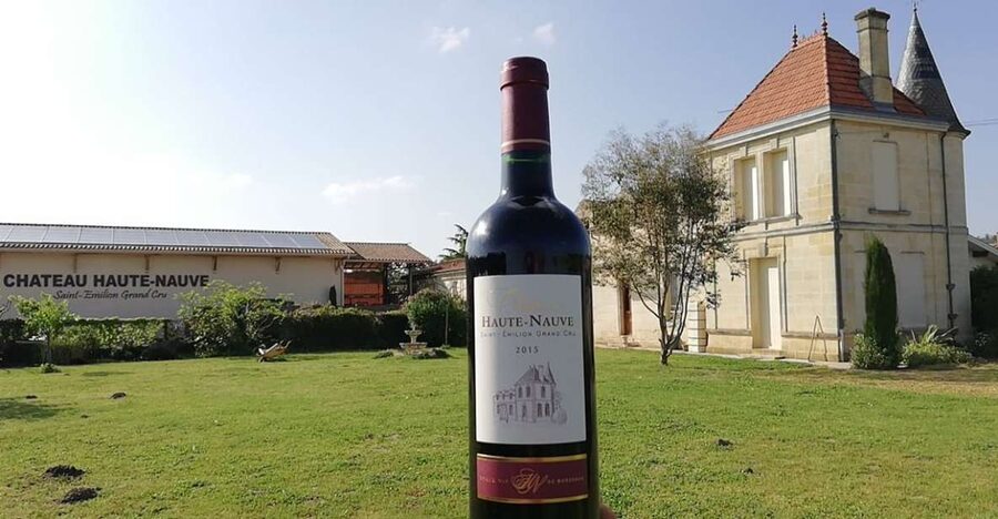 Saint-Émilion: Vineyard Walking Tour and Tasting - Four wines, including Grand Cru bottles
