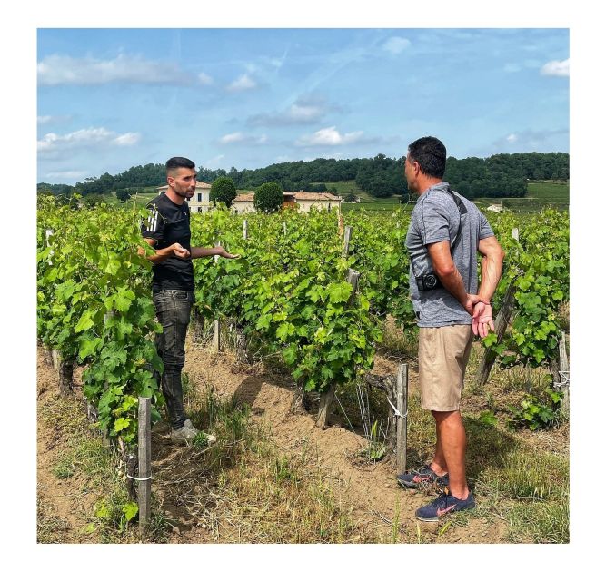 Saint-Émilion: Vineyard Walking Tour and Tasting - What $29 gets you