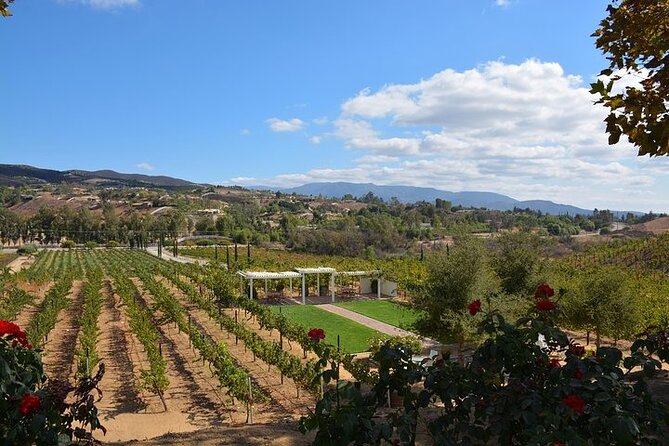 San Diego to Temecula: Wine Country Tour & Historic Old Town - Wilson Creek Winery: the lively middle stop