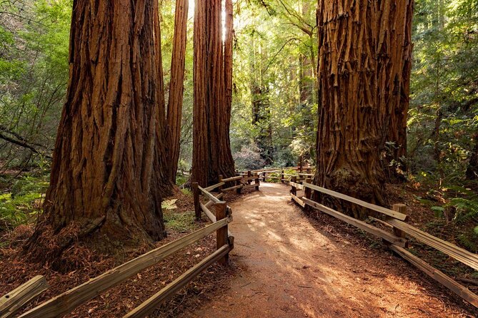 San Francisco: Armstrong Redwoods and Wine Tour with Tastings - Five useful things to know before booking