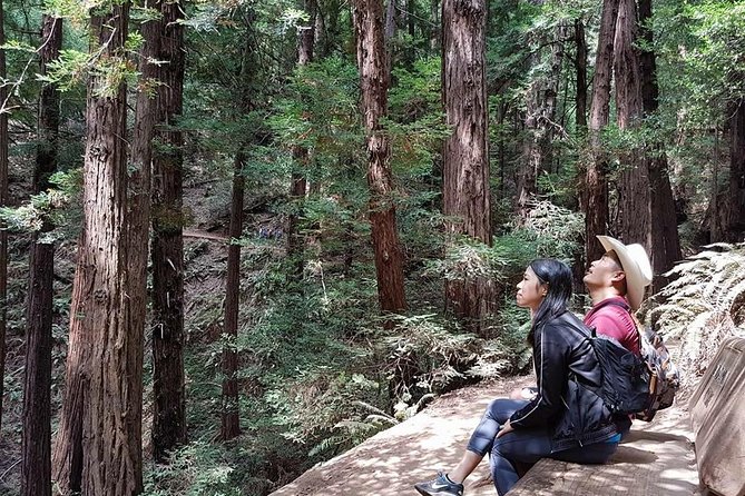 San Francisco: Armstrong Redwoods and Wine Tour with Tastings - Korbel Champagne Cellars: the strongest winery stop