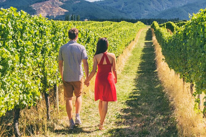 San Francisco: Full Day Coastal Redwoods & Wine Country Tour - Starting at Fisherman’s Wharf and crossing the Golden Gate