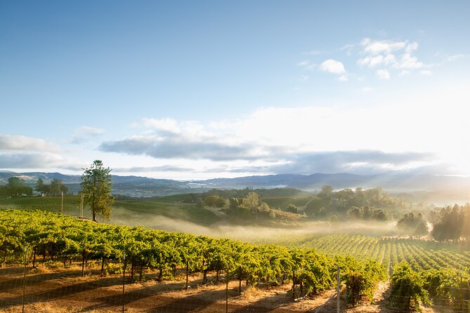 San Francisco: Full Day Coastal Redwoods & Wine Country Tour - Who should book this tour?
