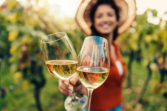 San Francisco: Full Day Coastal Redwoods & Wine Country Tour - Walking beneath the redwoods at Armstrong Reserve