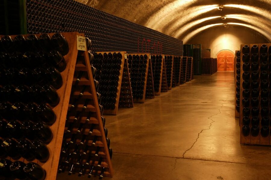 San Francisco: Guided Coastal Redwoods & Wine Country Tour - Who will enjoy this tour most?