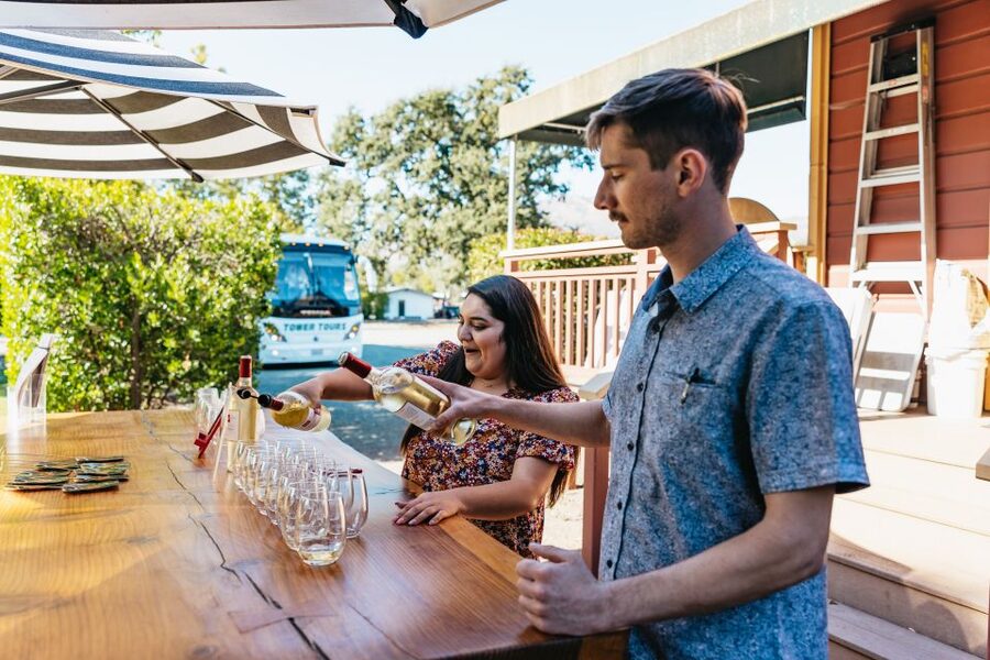 San Francisco: Half-Day Wine Country Excursion with Tastings - What the tastings are really like