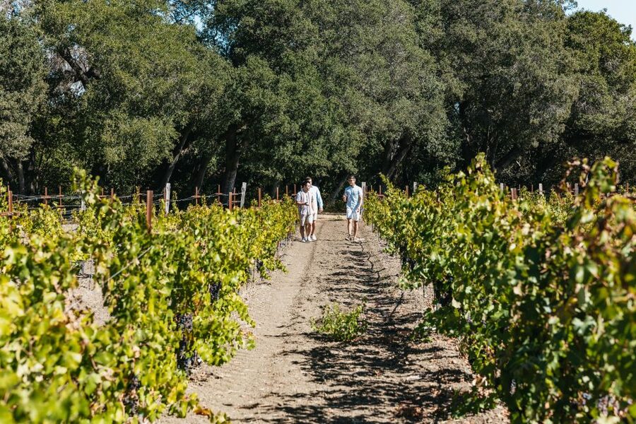 San Francisco: Half-Day Wine Country Excursion with Tastings - The guide can make or break the drive