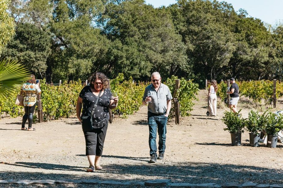 San Francisco: Half-Day Wine Country Excursion with Tastings - Food, timing, and what to pack