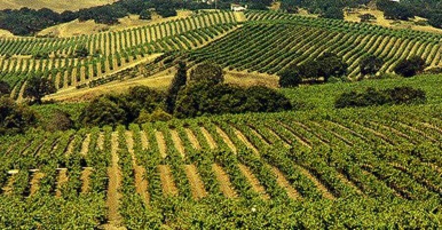 San Francisco: Half-Day Wine Country Tour with Wine Tastings - Key points at a glance
