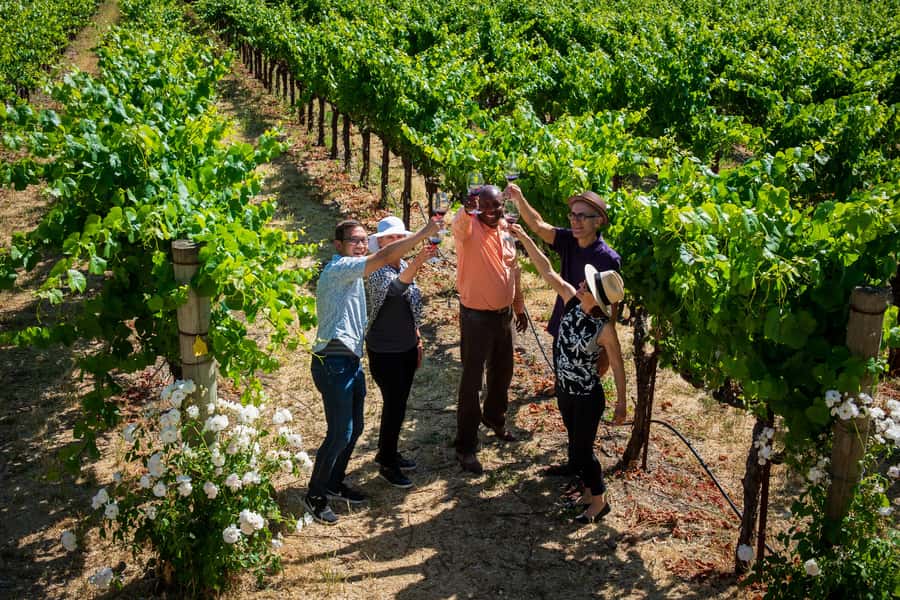 San Francisco: Redwood & Wine Country Tour with Lunch & Wine - The long ride is part of the tradeoff