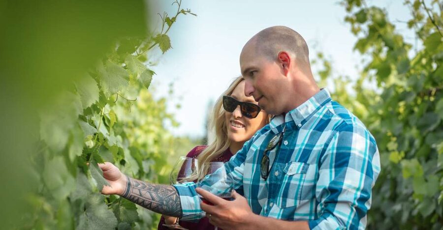San Francisco: Sonoma Wine Country Tour with Tastings - Why this Sonoma tour works well from San Francisco