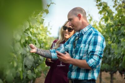 Sonoma Wine Country Tour with Tastings