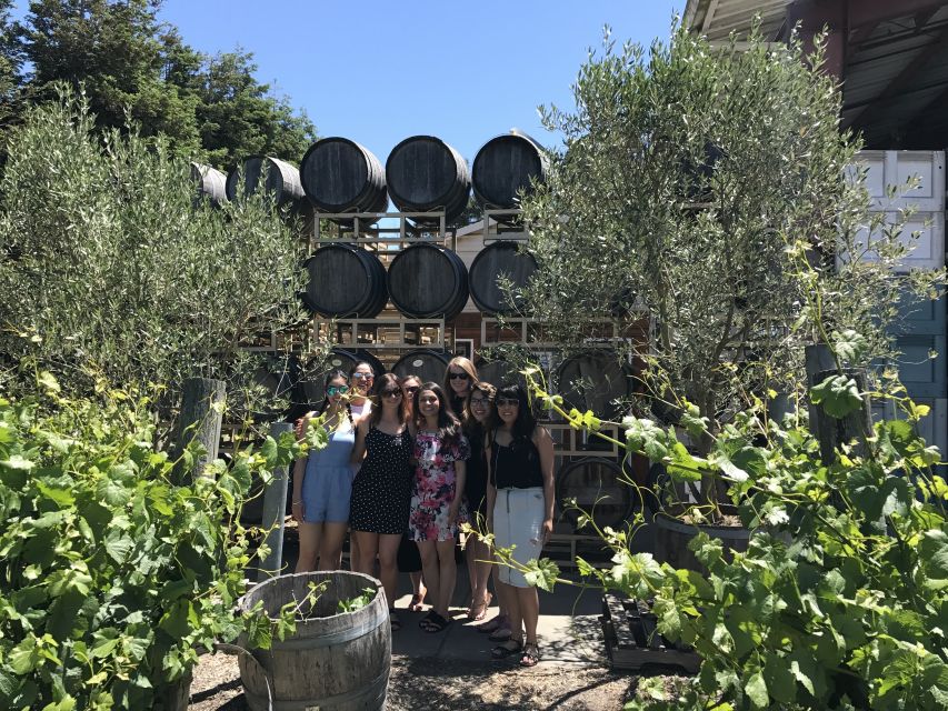 San Francisco: Sonoma Wine Country Tour with Tastings - What the small van is really like