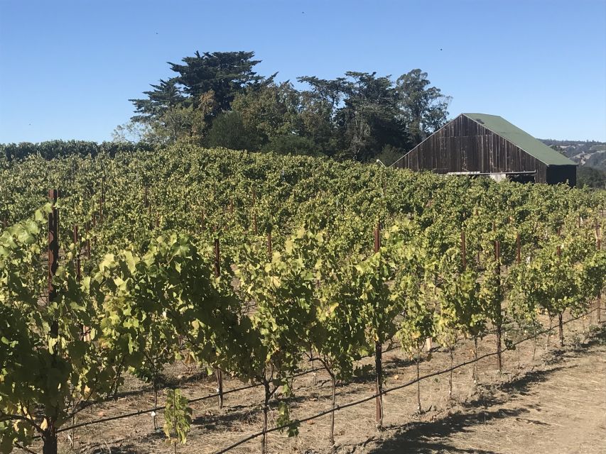 San Francisco: Sonoma Wine Country Tour with Tastings - Who should book this experience?