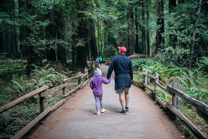 San Francisco Super Saver: Muir Woods & Wine Country w/ optional Gourmet Lunch - Why this Muir Woods and wine tour works