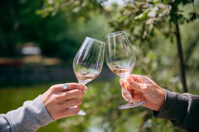 San Francisco Super Saver: Muir Woods & Wine Country w/ optional Gourmet Lunch - One quiet hour among the redwoods
