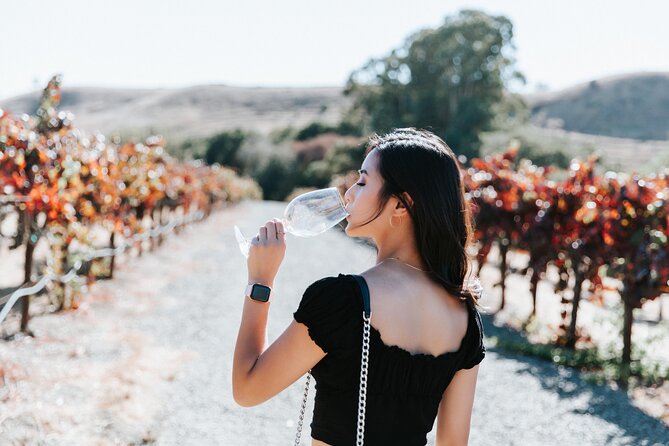 San Francisco Super Saver: Muir Woods & Wine Country w/ optional Gourmet Lunch - Jacuzzi Family Vineyards adds architecture and olive oil