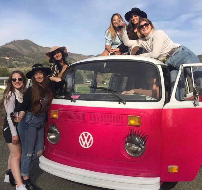 San Fransisco: Vintage VW Bus Wine Country Tour Small Group - The third winery returns to Carneros views