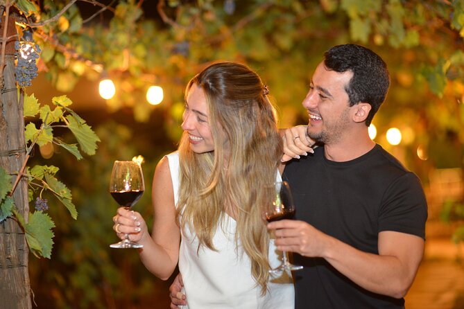 San Gimignano Romantic Dinner in the Vineyards - A romantic evening at Tenuta Torciano