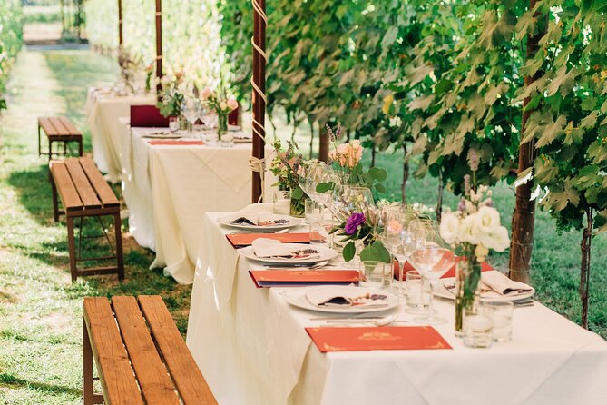 San Gimignano Romantic Dinner in the Vineyards - Booking advice for a smoother night