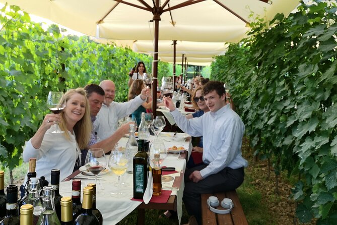 San Gimignano Romantic Dinner in the Vineyards - Should you book the San Gimignano vineyard dinner?