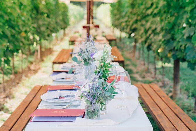 San Gimignano Romantic Dinner in the Vineyards - What arrives on the four-course menu