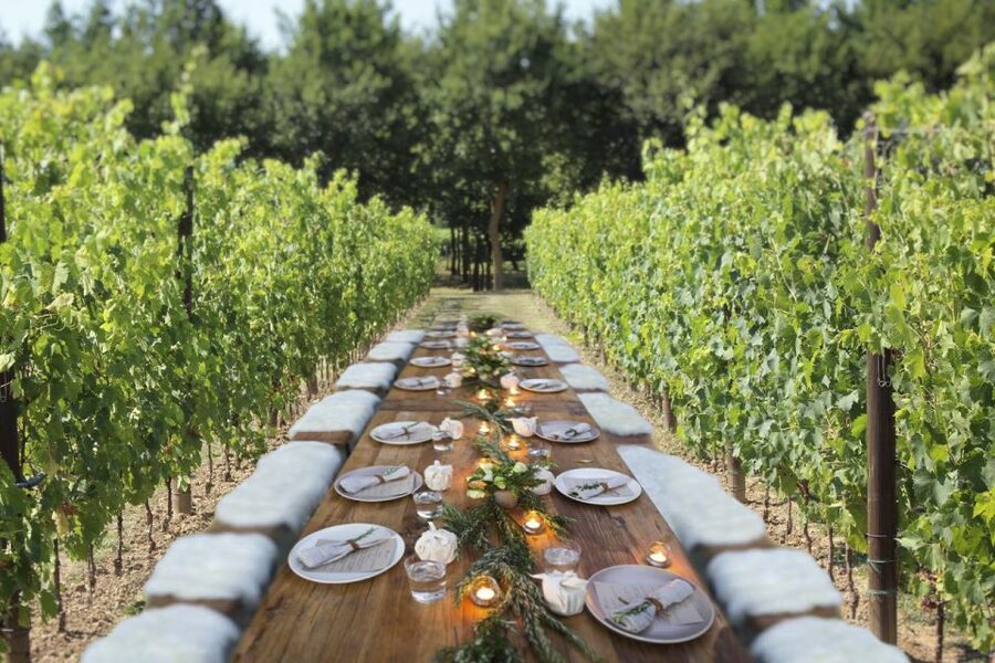 San Gimignano: Romantic Vineyard Dinner - What the Tenuta Torciano evening is really like