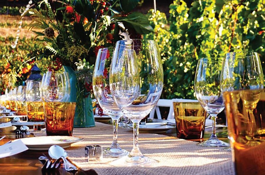 San Gimignano: Romantic Vineyard Dinner - The wine lesson, from first sip to final pour
