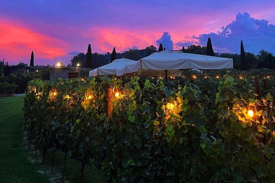 San Gimignano: Romantic Vineyard Dinner - What is included, and what is not