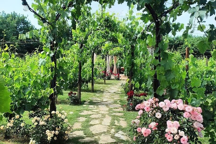 San Gimignano: Romantic Vineyard Dinner - The hosts can shape the evening