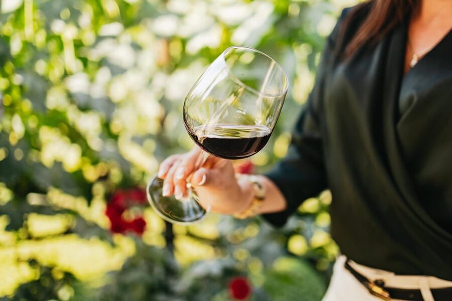 San Gimignano: Tuscan Vineyard Lunch with Wine Tasting - Key points to know before booking