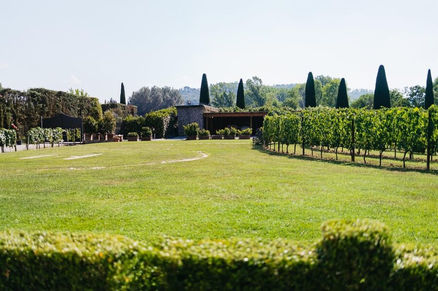 San Gimignano: Tuscan Vineyard Lunch with Wine Tasting - What the two-hour lunch includes