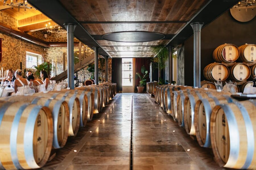 San Gimignano: Tuscan Vineyard Lunch with Wine Tasting - Is $141.61 a fair price?