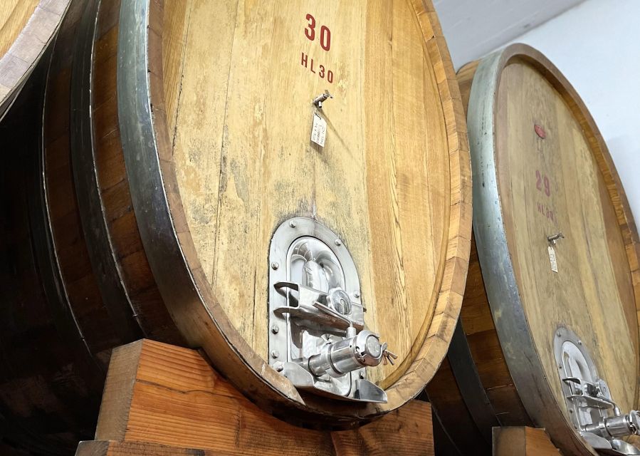 San Gimignano: Vineyard and Cellar Tour with Wine Tasting - Booking details and practical value