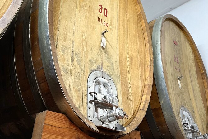San Gimignano: Vineyard and Cellar Tour with Wine Tasting - Tasting Vernaccia and Chianti side by side