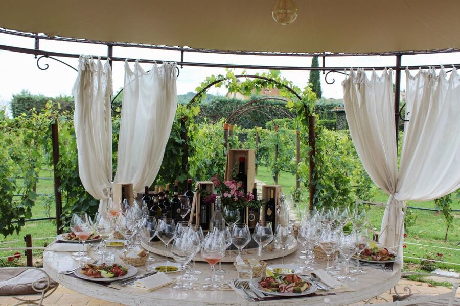 San Gimignano: Vineyard Walk with Wine Tasting in winery - Should you book Tenuta Torciano?