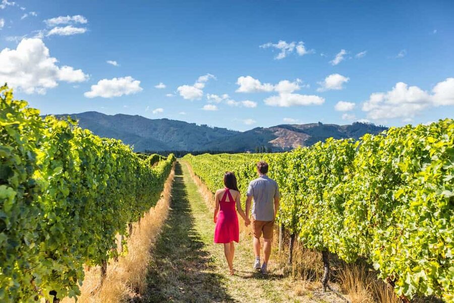 San Gimignano: Vineyard Walk with Wine Tasting in winery - Arriving at the winery near San Gimignano