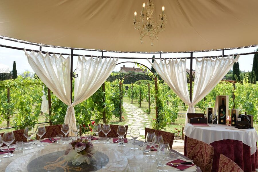 San Gimignano: Vineyard Walk with Wine Tasting in winery - Tasting estate wines in the tasting room