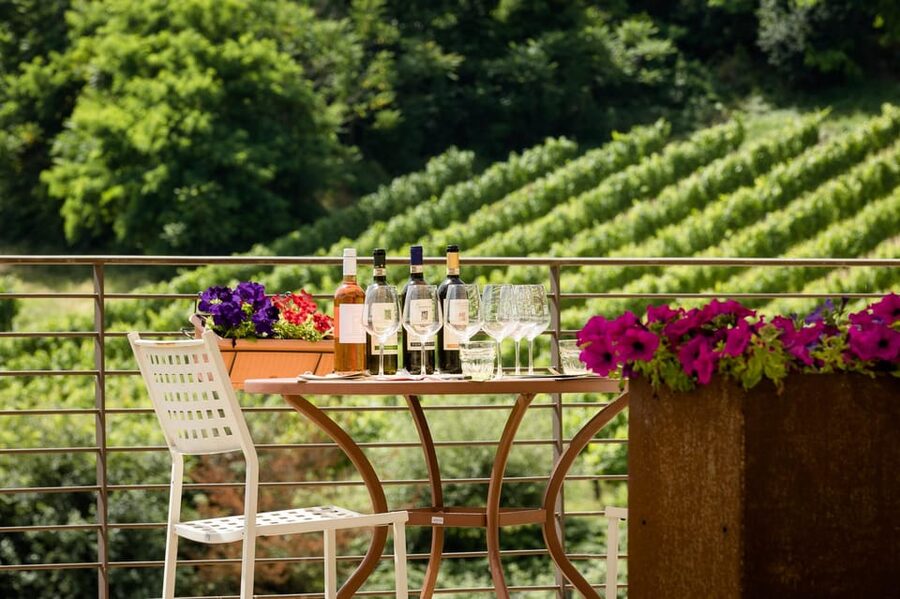 San Gimignano: Winery Visit with Picnic in Olive Grove - What comes in the picnic basket
